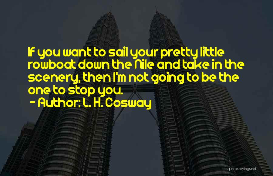 Your Not Pretty Quotes By L. H. Cosway