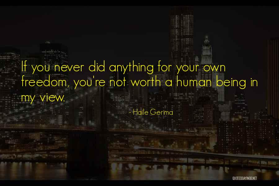 Your Not Worth Anything Quotes By Haile Gerima