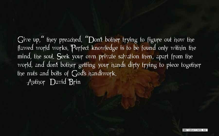 Your Nuts Quotes By David Brin