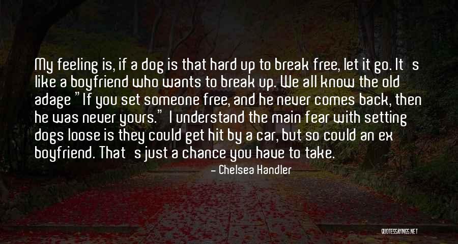 Your Old Boyfriend Quotes By Chelsea Handler Your Old Boyfriend Quotes By Chelsea Handler