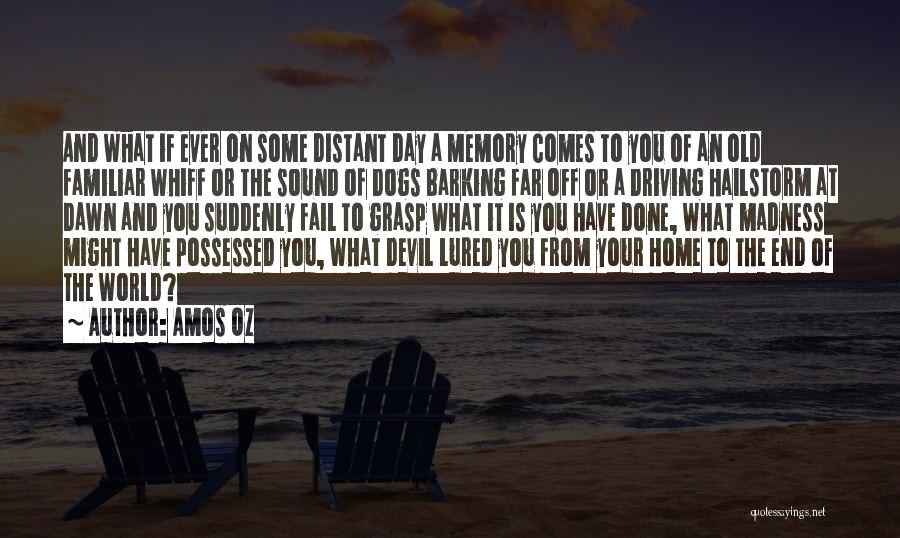 Your Old Home Quotes By Amos Oz