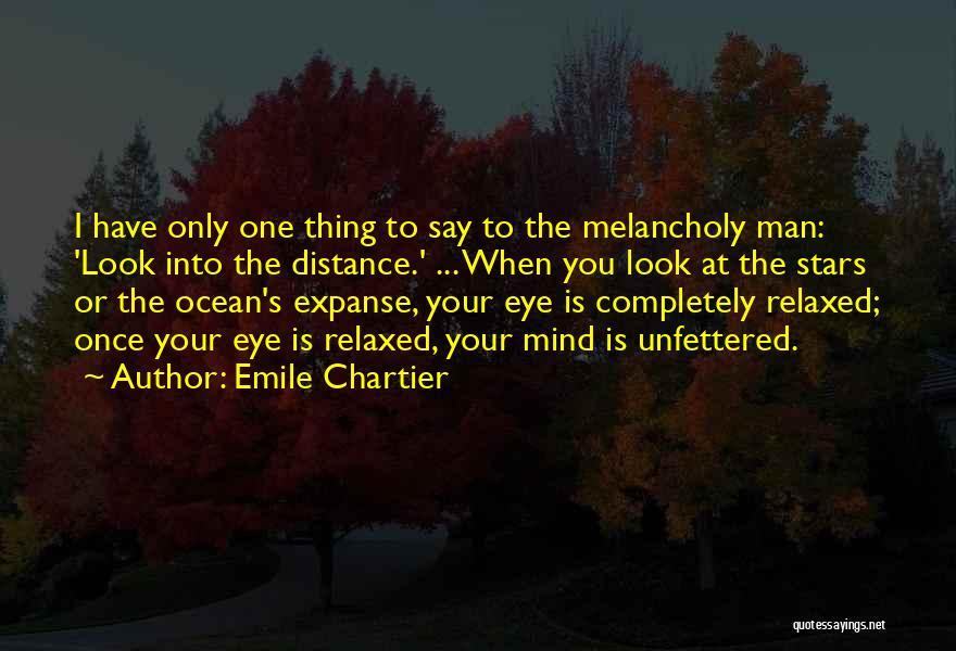 Your One Look Quotes By Emile Chartier