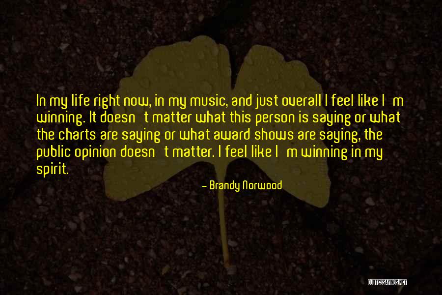 Your Opinion Doesn't Matter Quotes By Brandy Norwood Your Opinion Doesn't Matter Quotes By Brandy Norwood