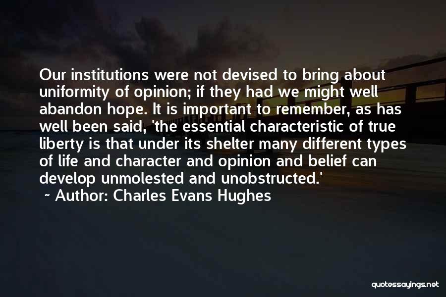 Your Opinion Is Important Quotes By Charles Evans Hughes