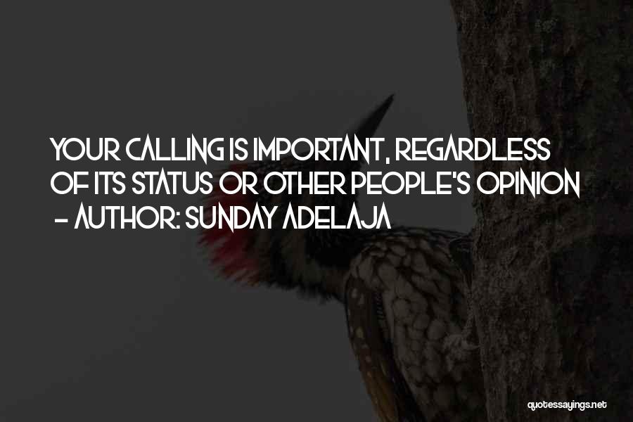 Your Opinion Is Important Quotes By Sunday Adelaja