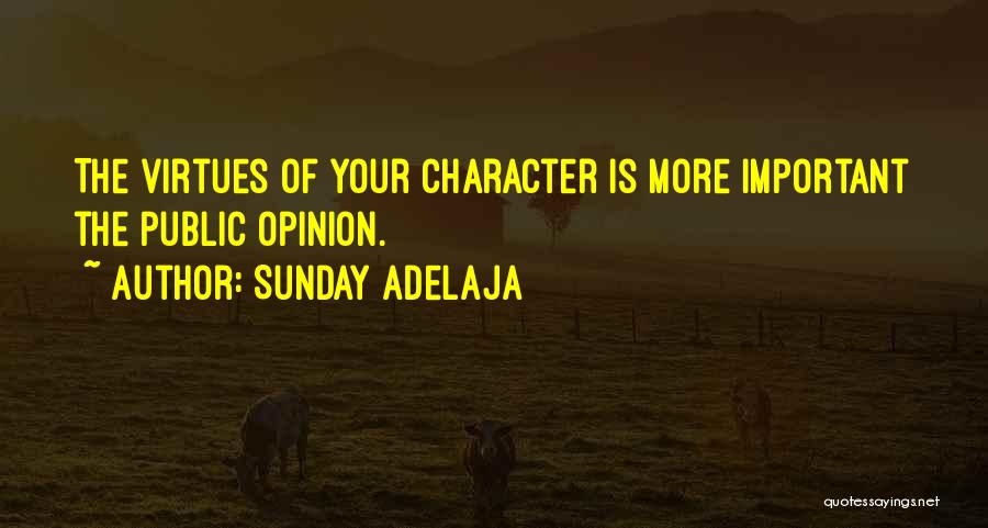 Your Opinion Is Important Quotes By Sunday Adelaja