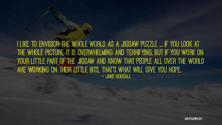 Your Overwhelming Quotes By Jane Goodall Your Overwhelming Quotes By Jane Goodall