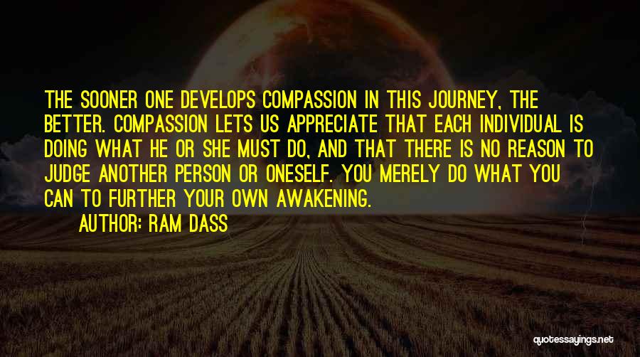 Your Own Journey Quotes By Ram Dass