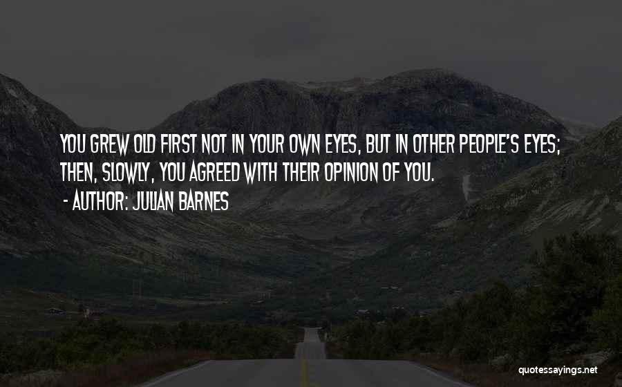 Your Own Opinion Quotes By Julian Barnes