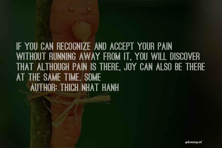 Your Pain Quotes By Thich Nhat Hanh