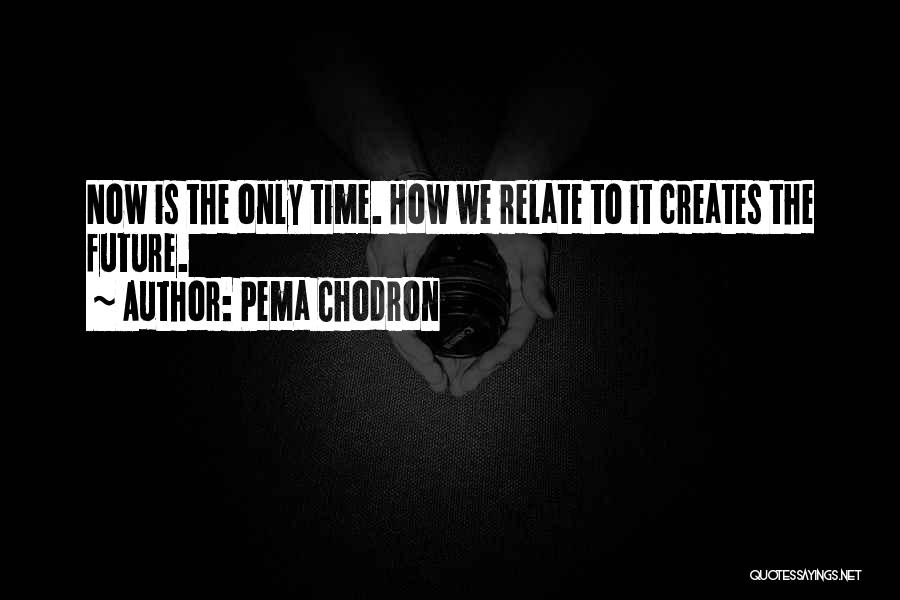 Your Past Creates Your Future Quotes By Pema Chodron