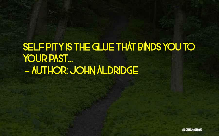 Your Past Self Quotes By John Aldridge