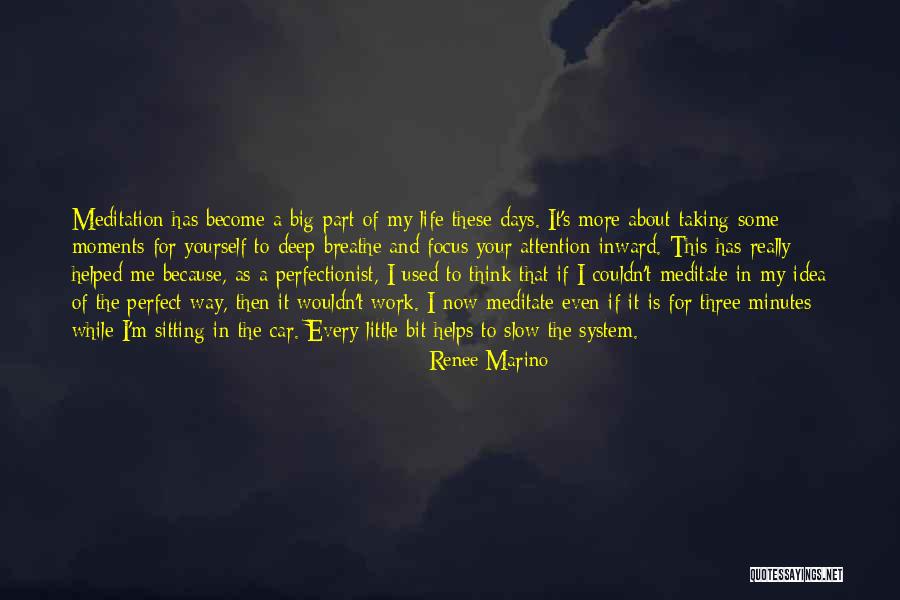 Your Perfect For Me Quotes By Renee Marino Your Perfect For Me Quotes By Renee Marino