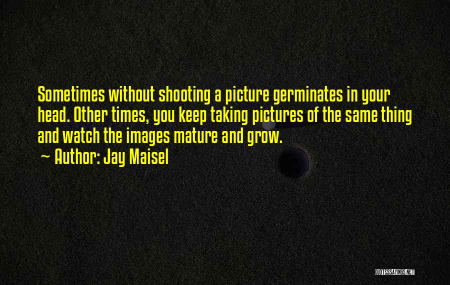 Your Pictures Quotes By Jay Maisel