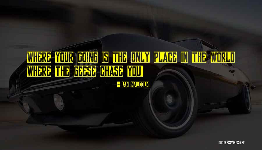 Your Place In The World Quotes By Ian Malcolm