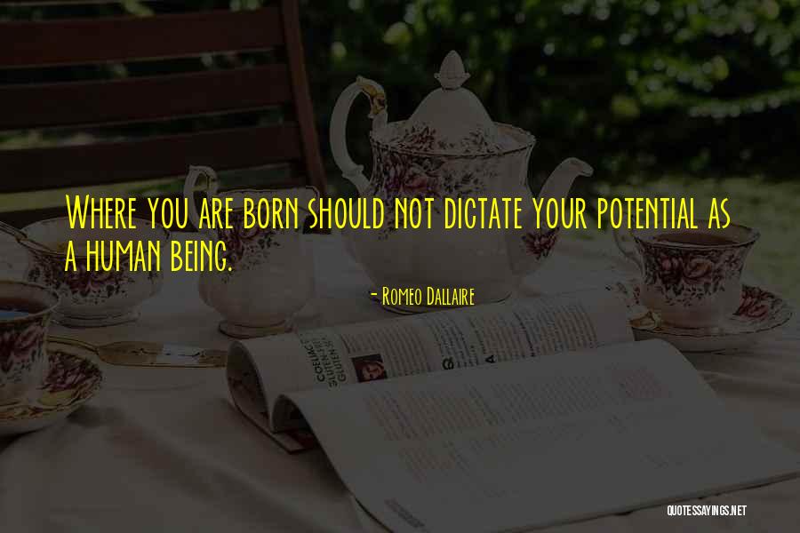 Your Potential Quotes By Romeo Dallaire Your Potential Quotes By Romeo Dallaire