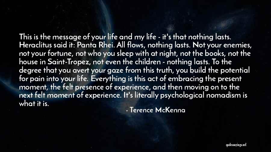 Your Presence In My Life Quotes By Terence McKenna