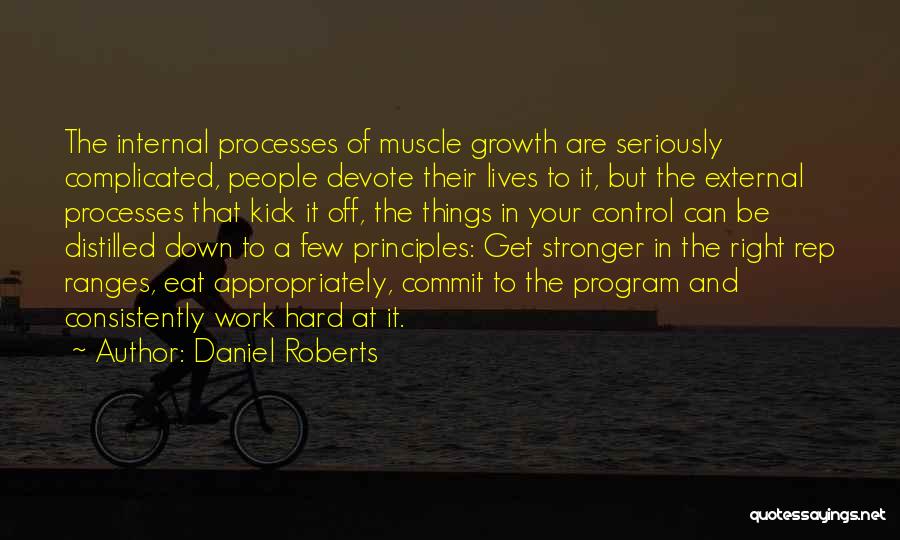 Your Principles Quotes By Daniel Roberts