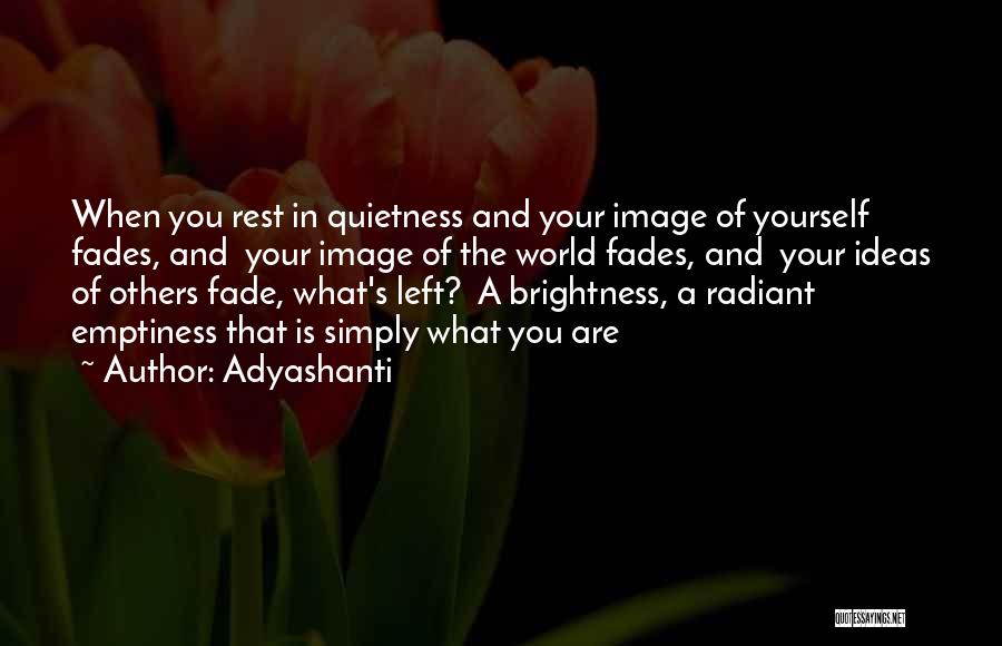 Your Quietness Quotes By Adyashanti