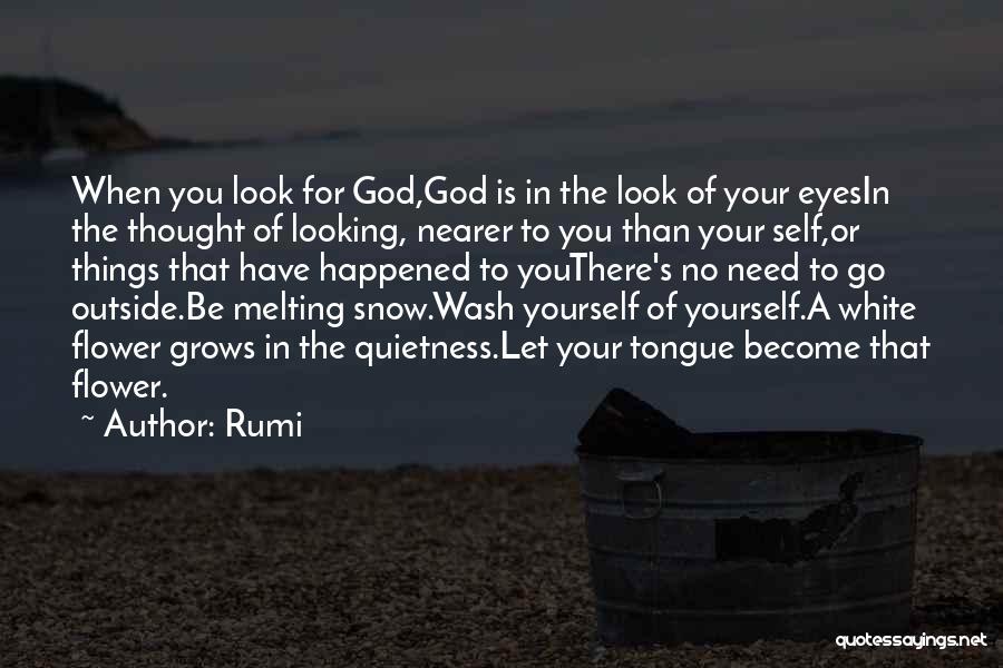 Your Quietness Quotes By Rumi