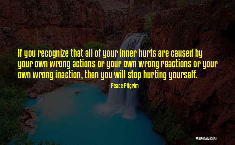 Your Reactions Quotes By Peace Pilgrim Your Reactions Quotes By Peace Pilgrim