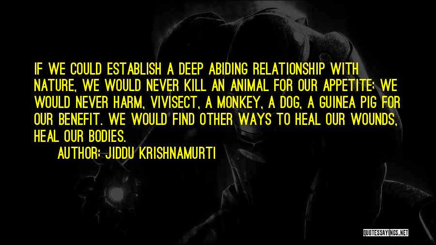 Your Relationship With Your Dog Quotes By Jiddu Krishnamurti