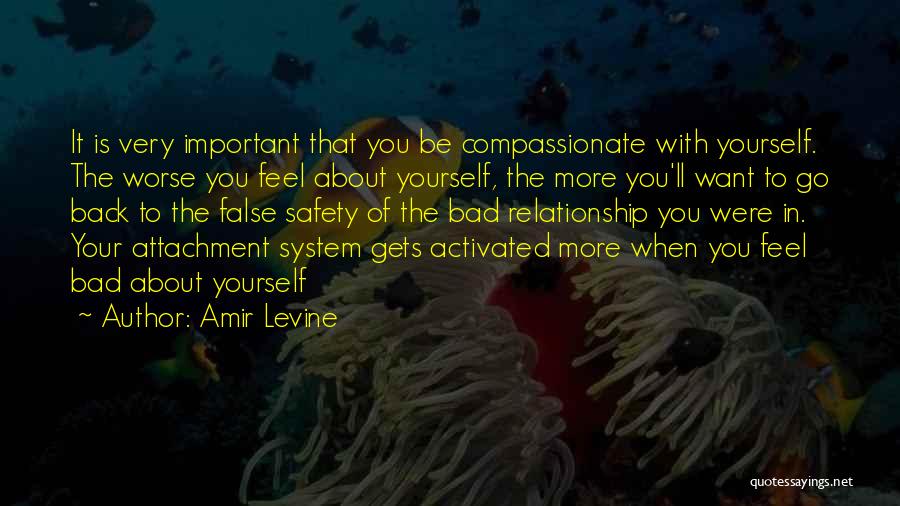 Your Relationship With Yourself Quotes By Amir Levine