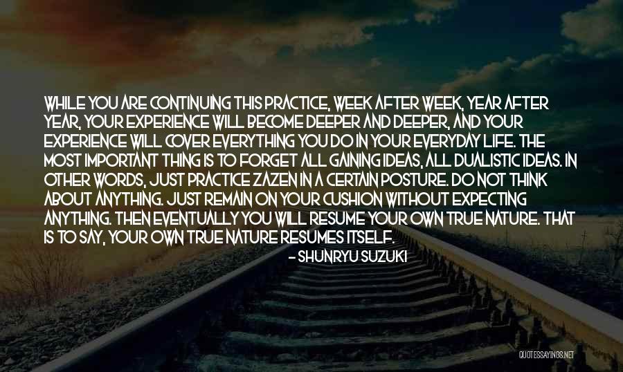 Your Resume Quotes By Shunryu Suzuki Your Resume Quotes By Shunryu Suzuki