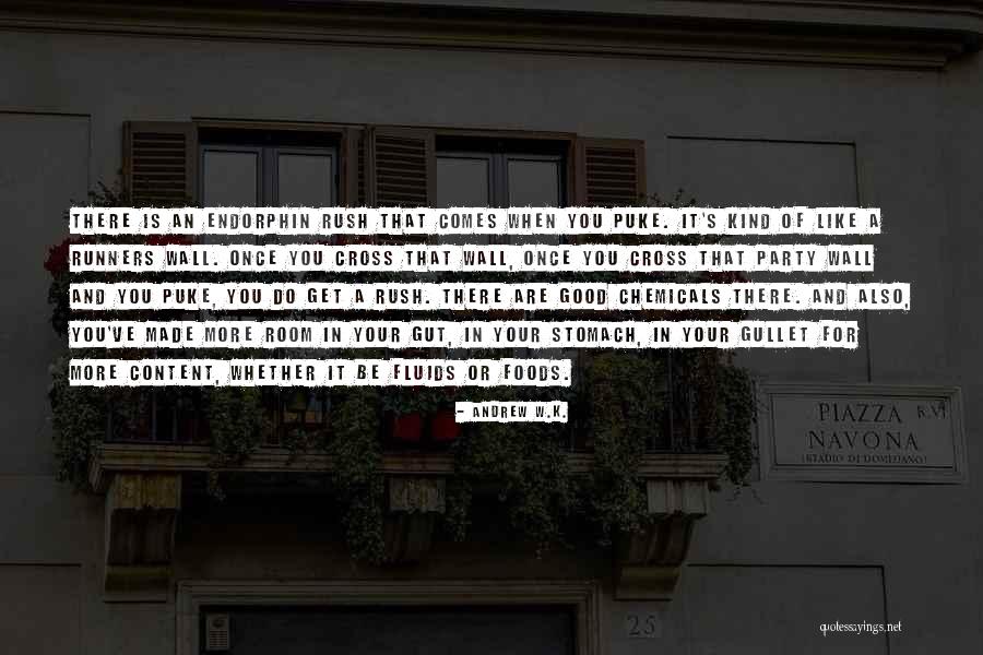 Your Room Wall Quotes By Andrew W.K. Your Room Wall Quotes By Andrew W.K.