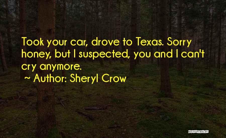 Your Sadness Quotes By Sheryl Crow