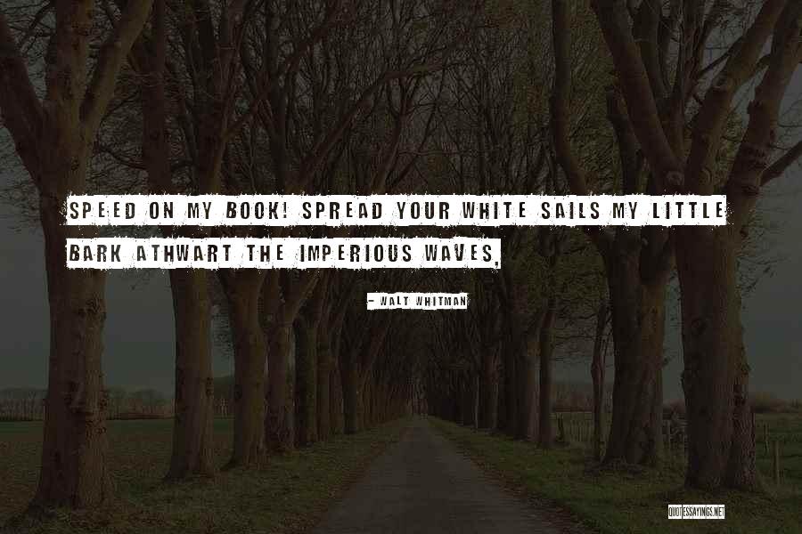 Your Sails Quotes By Walt Whitman Your Sails Quotes By Walt Whitman