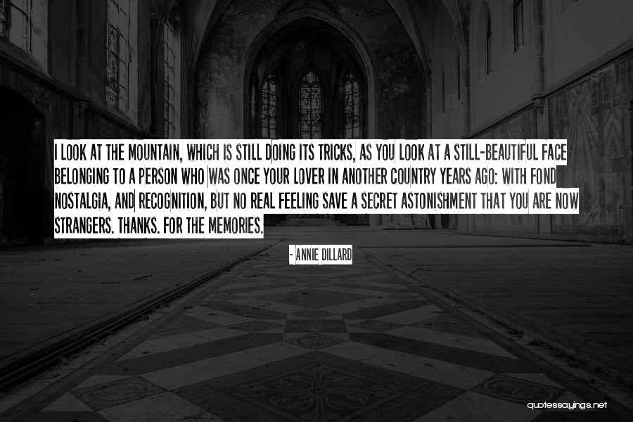 Your Secret Lover Quotes By Annie Dillard Your Secret Lover Quotes By Annie Dillard