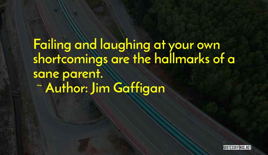 Your Shortcomings Quotes By Jim Gaffigan
