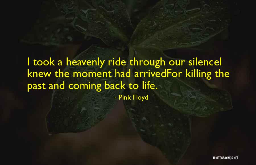 Your Silence Killing Me Quotes By Pink Floyd