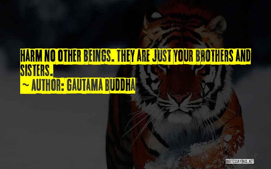 Your Sisters And Brothers Quotes By Gautama Buddha