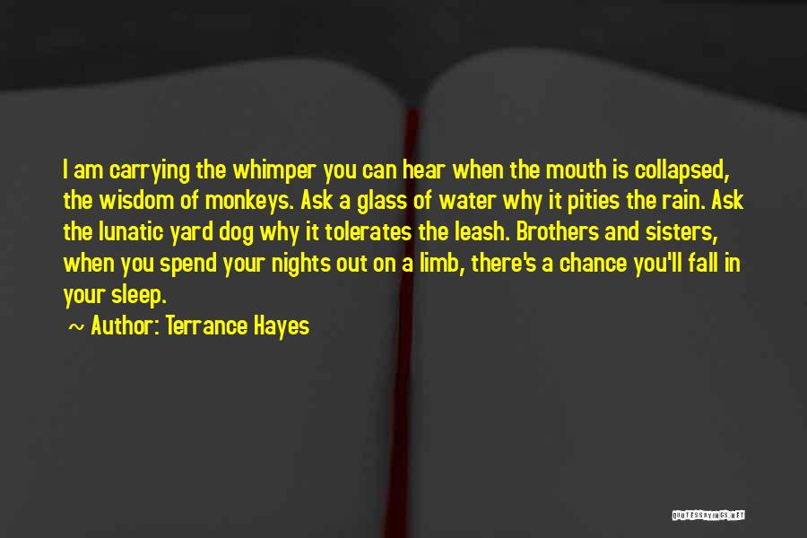 Your Sisters And Brothers Quotes By Terrance Hayes
