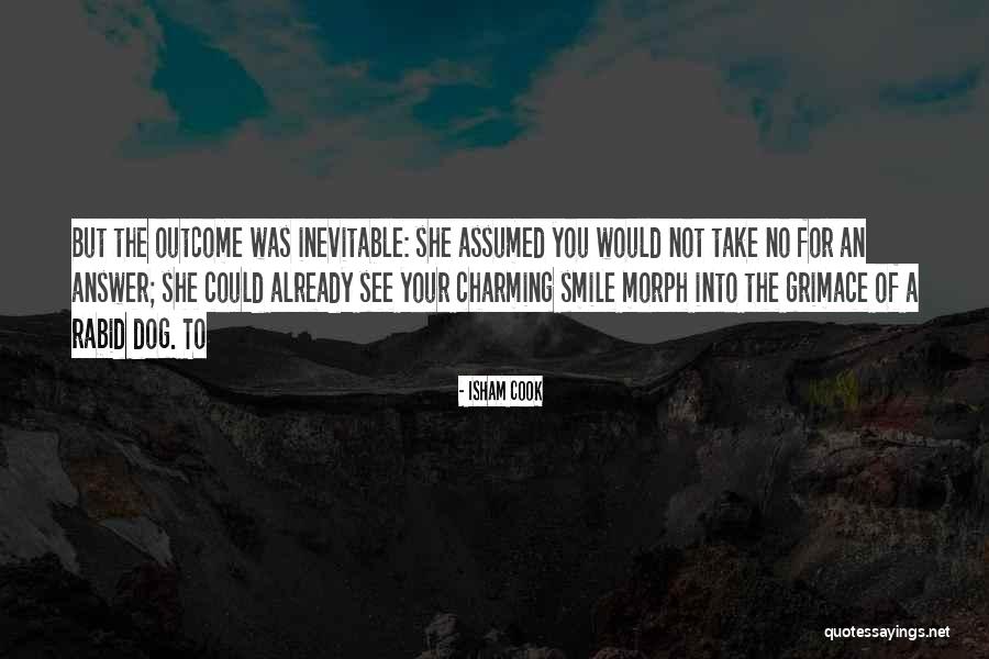 Your Smile Could Quotes By Isham Cook