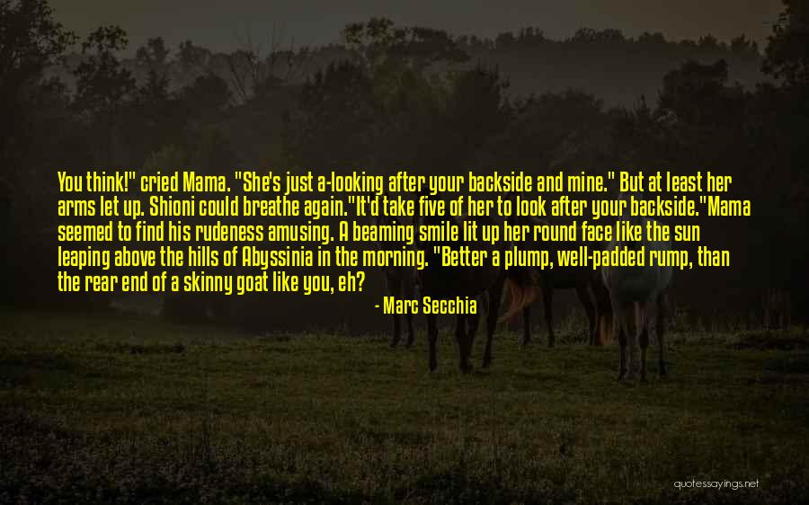 Your Smile In The Morning Quotes By Marc Secchia