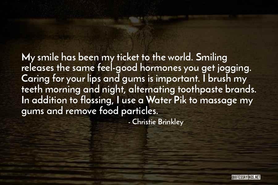 Your Smile Is Important Quotes By Christie Brinkley Your Smile Is Important Quotes By Christie Brinkley