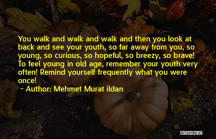 Your So Far Away Quotes By Mehmet Murat Ildan