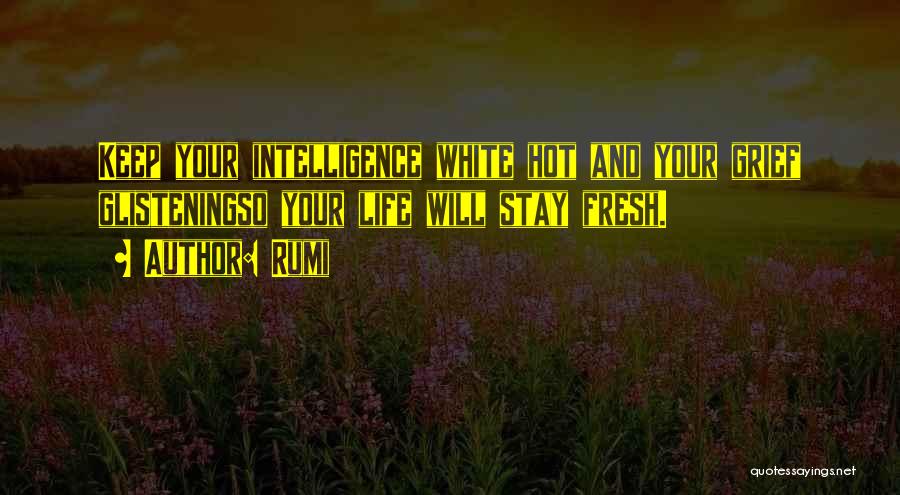 Your So Hot Quotes By Rumi