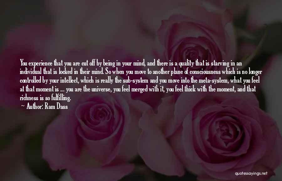 Your So Thick Quotes By Ram Dass