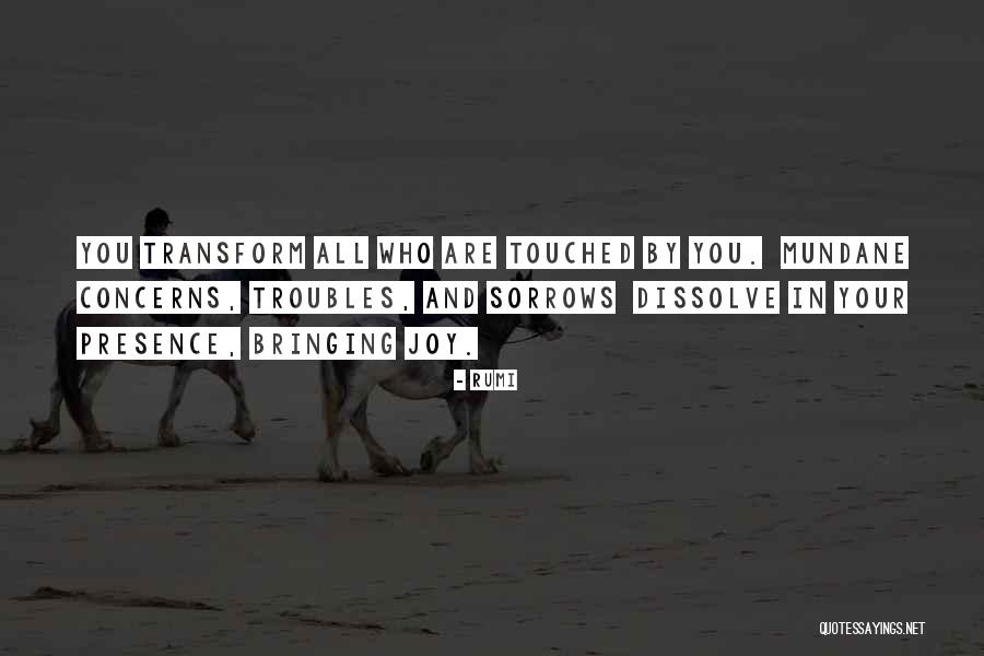 Your Sorrows Quotes By Rumi Your Sorrows Quotes By Rumi