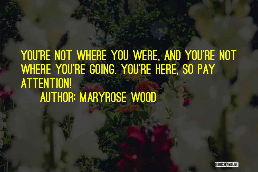 Your Soulmate Dying Quotes By Maryrose Wood
