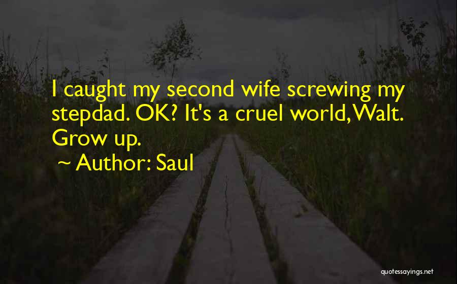 Your Stepdad Quotes By Saul