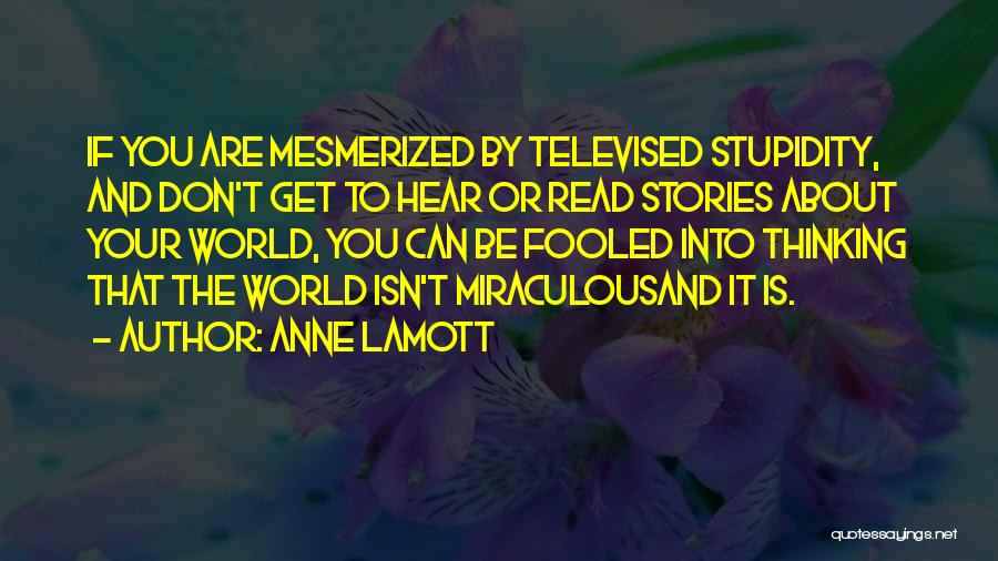 Your Stupidity Quotes By Anne Lamott