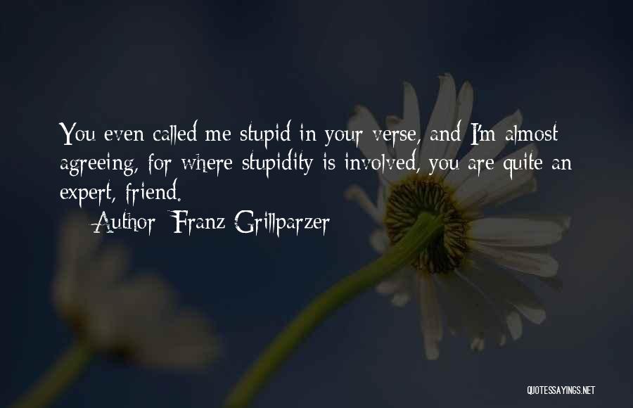 Your Stupidity Quotes By Franz Grillparzer