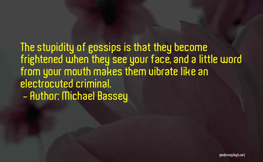 Your Stupidity Quotes By Michael Bassey