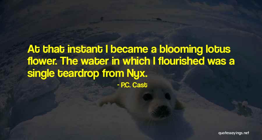 Your Teardrop Quotes By P.C. Cast Your Teardrop Quotes By P.C. Cast