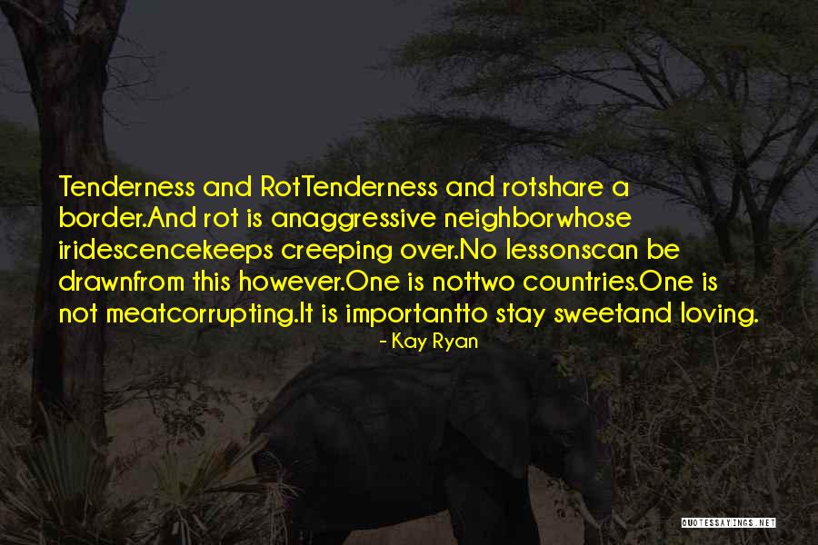 Your Tenderness Quotes By Kay Ryan